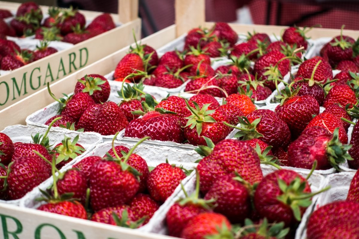 Fresh strawberries close up