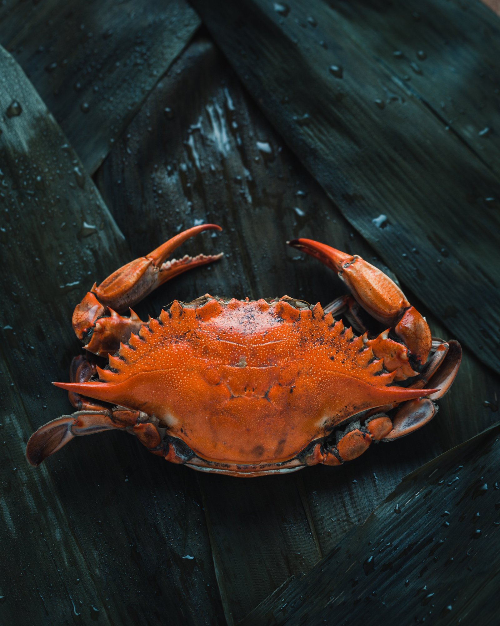 Soft shell crab